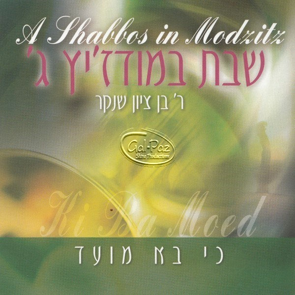 שבת במודז'יץ 3