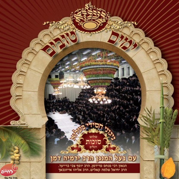 ימים טובים בעלזא - סוכות
