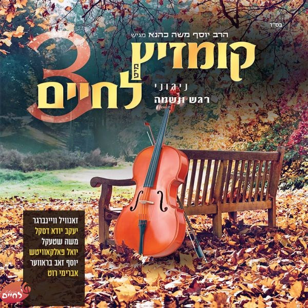 קומזיץ מיט לחיים 3