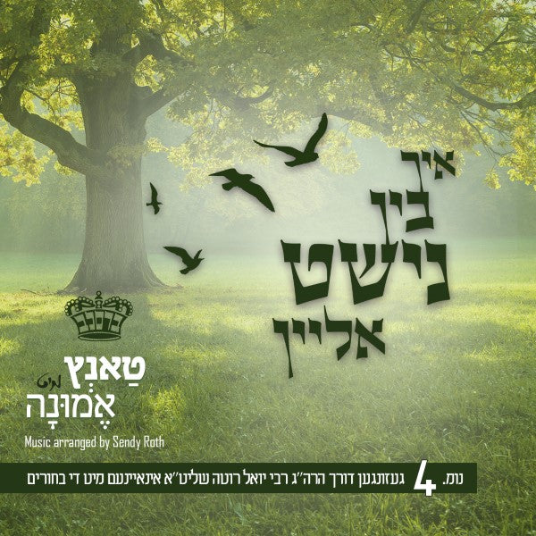 טאנץ מיט אמונה 4 - איך בין נישט אליין