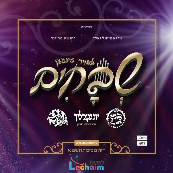 לאמיר זינגען שבחים