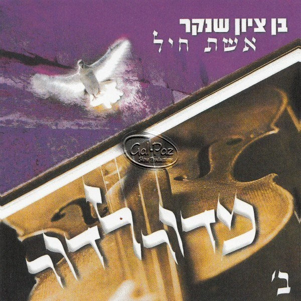 מדור לדור 2